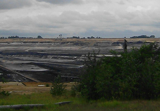 20472 Braunkohletagebau Holz 2007-10-20 007